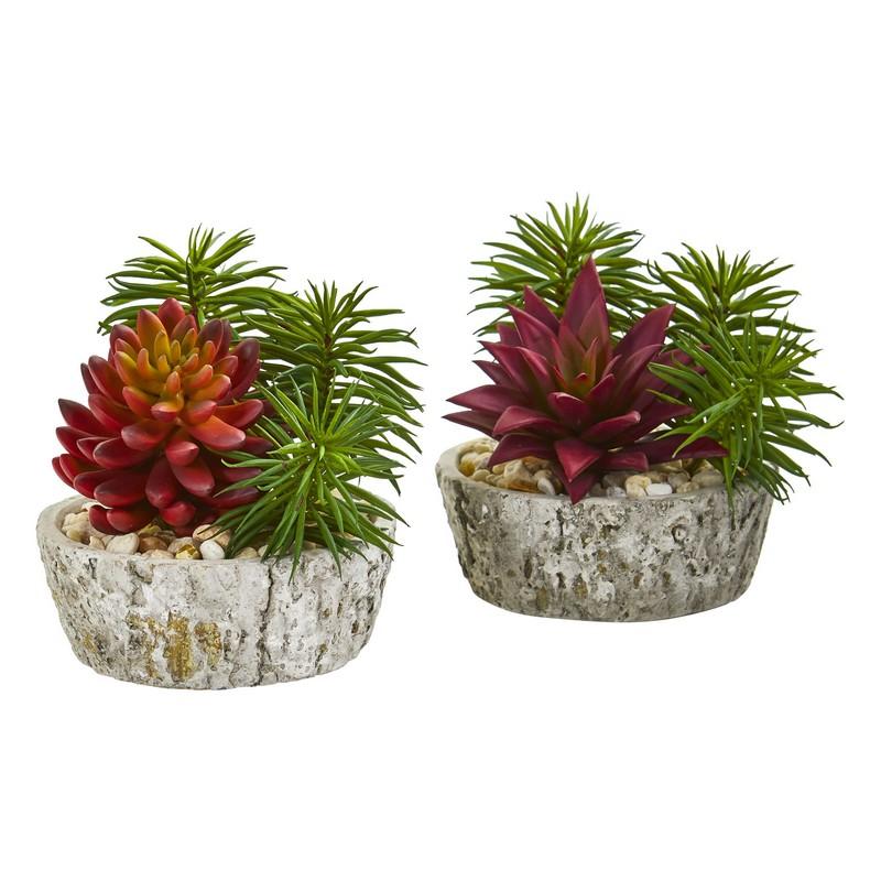 Succulent Artificial Plant in Weathered Oak Planter (Set of 2)