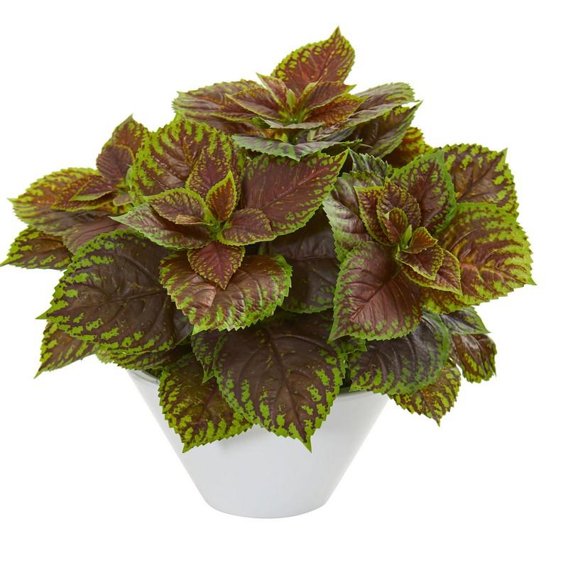 Coleus Artificial Plant in White Planter (Real Touch)