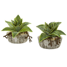 Load image into Gallery viewer, 6&quot; Dusty Succulent Artificial Plant in Weathered Vase (Set of 2)

