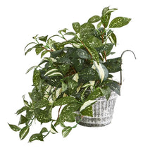 Load image into Gallery viewer, 15&quot; Florida Beauty Artificial Plant in Vintage Metal Hanging Planter
