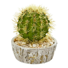 Load image into Gallery viewer, 7&quot; Cactus Artificial Plant in Weathered Planter (Set of 2)
