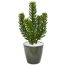 Load image into Gallery viewer, 25&quot; Succulent Artificial Plant in Green Planter
