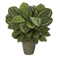 Load image into Gallery viewer, 25&quot; Maranta Artificial Plant in Decorative Planter
