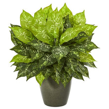 Load image into Gallery viewer, 20&quot; Dieffenbachia Artificial Plant in Green Planter
