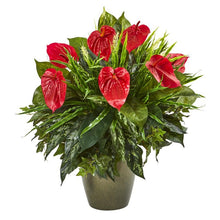 Load image into Gallery viewer, 26&quot; Mixed Anthurium Artificial Plant in Green Planter
