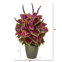 Load image into Gallery viewer, 31&quot; Coleus Artificial Plant in Green Planter
