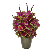 Load image into Gallery viewer, 31&quot; Coleus Artificial Plant in Green Planter
