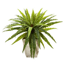 Load image into Gallery viewer, 24&quot; Asplenium Artificial Plant in Country White Planter
