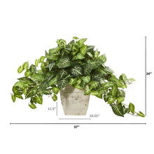 Load image into Gallery viewer, 24&quot; Nepthytis Artificial Plant in Country White Planter
