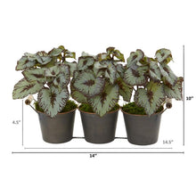 Load image into Gallery viewer, 10&quot; Begonia Artificial Plant in Triple Potted Metal Planter
