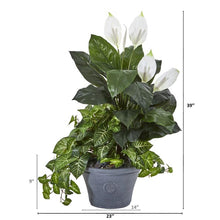Load image into Gallery viewer, 39&quot; Spathifyllum and Nepthytis Artificial Plant in Gray Planter
