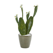 Load image into Gallery viewer, 25&quot; Flowering Cactus Artificial Plant in Green Planter
