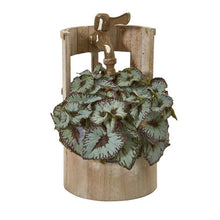 Load image into Gallery viewer, 12&quot; Rex Begonia Artificial Plant in Faucet Planter
