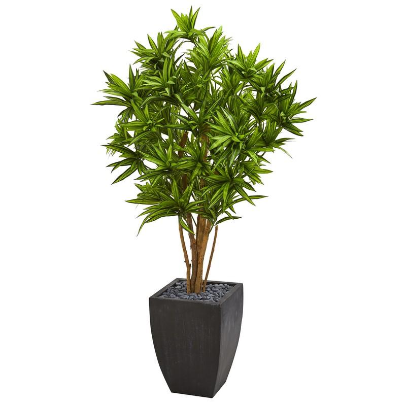 Dracaena Artificial Tree in Black Planter