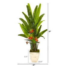 Load image into Gallery viewer, 59&quot; Bird of Paradise Artificial Plant in Country White Planter
