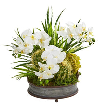 Load image into Gallery viewer, Phalaenopsis Orchid and Cactus Artificial Arrangement
