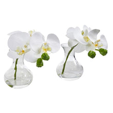 Load image into Gallery viewer, Phalaenopsis Orchid Artificial Arrangement in Vase (Set of 2)
