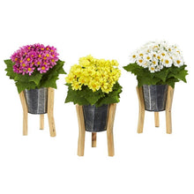 Load image into Gallery viewer, 11" Daisy Artificial Arrangement in Tin Vase (Set of 3)
