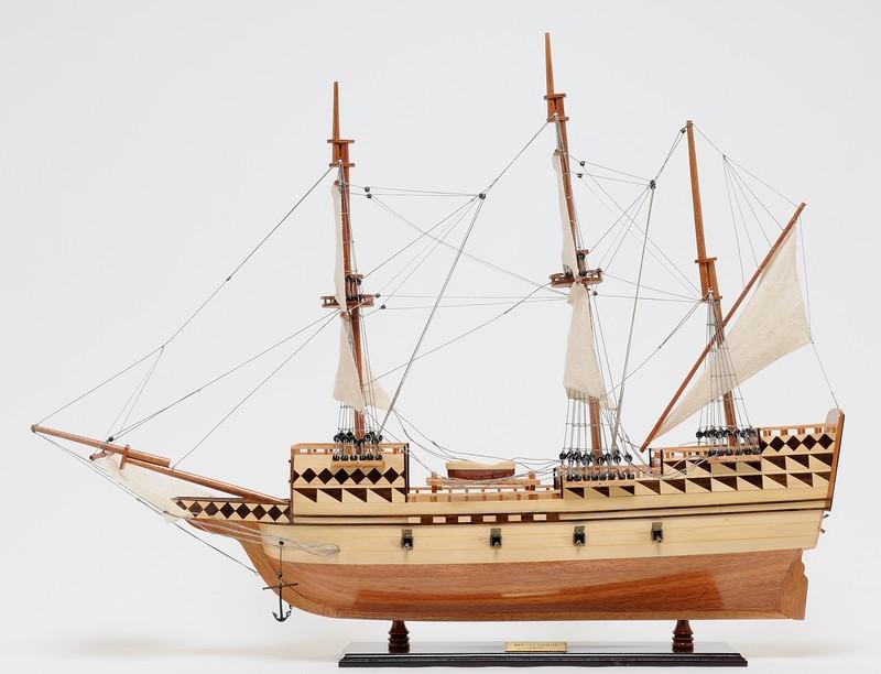 Mayflower Medium - Fully Assemble