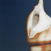 Load image into Gallery viewer, Madison Park Ocean Seashells Framed Canvas 4 Piece Set MP95C-0062 By Olliix
