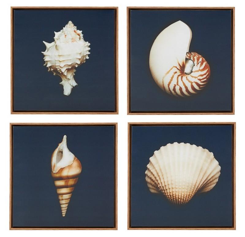 Madison Park Ocean Seashells Framed Canvas 4 Piece Set MP95C-0062 By Olliix