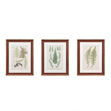 Load image into Gallery viewer, Martha Stewart Lady Fern Collection Single Mat Framed Graphic 3 Piece Set MT95G-0003
