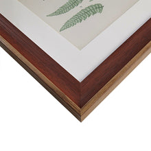 Load image into Gallery viewer, Martha Stewart Lady Fern Collection Single Mat Framed Graphic 3 Piece Set MT95G-0003
