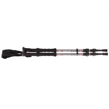 Load image into Gallery viewer, Pair 2 Trekking Walking Hiking Sticks-Gray
