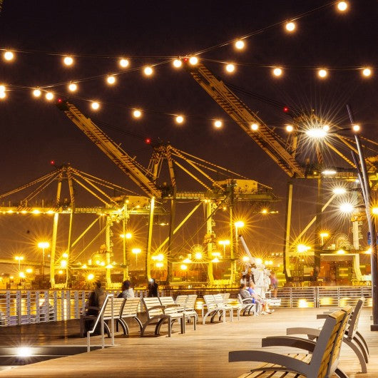 24 FT LED Color Changing String Light Warm White RGB