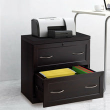 Load image into Gallery viewer, 2-Drawer Free Standing Lateral File Cabinet-Black
