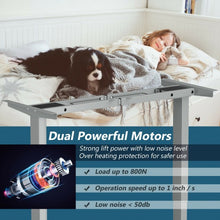 Load image into Gallery viewer, Electric Adjustable Standing up Desk Frame Dual Motor with Controller-Gray
