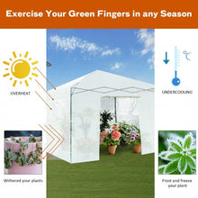 Load image into Gallery viewer, Greenhouse Outdoor Mini Walk-in Plant Portable Garden Greenhouse-White
