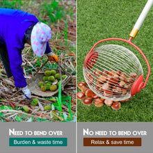 Load image into Gallery viewer, Medium Rolling Nut Gatherer Picks up Balls Nuts &amp; Other Objects
