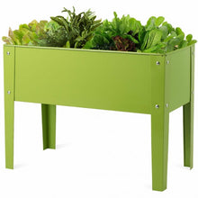 Load image into Gallery viewer, 24.5&quot; x12.5&quot; Outdoor Elevated Garden Plant Stand Flower Bed Box
