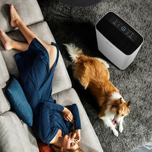 Load image into Gallery viewer, 800 sq.ft Air Purifier True HEPA Filter Carbon Filter Air Cleaner Home Office
