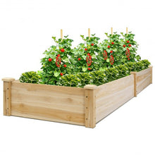 Load image into Gallery viewer, Wooden Vegetable Raised Garden Bed
