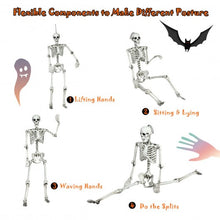 Load image into Gallery viewer, 5.4ft Halloween Skeleton Life Size Realistic Full Body Hanging
