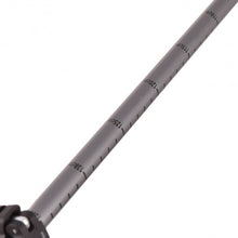 Load image into Gallery viewer, Pair 2 Trekking Walking Hiking Sticks-Gray
