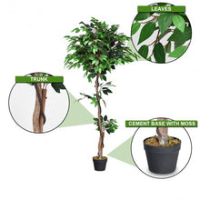 Load image into Gallery viewer, 5.5 ft Artificial Ficus Silk Tree with Wood Trunks

