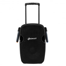 Load image into Gallery viewer, Portable 12&quot; 2-way 600 W Bluetooth Music Rechargeable Powered Speaker
