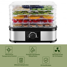 Load image into Gallery viewer, 5 Tray Temperature Control Fruit Vegetable Dryer
