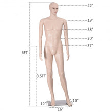 Load image into Gallery viewer, Male Mannequin Plastic Realistic Display Head with Base

