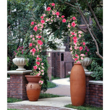 Load image into Gallery viewer, 8&#39;4&quot; x 4&#39;7&quot; Gothic Steel Rose Arch
