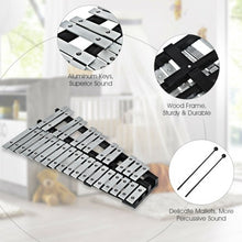 Load image into Gallery viewer, Foldable Aluminum Glockenspiel Xylophone 30 Note with Bag
