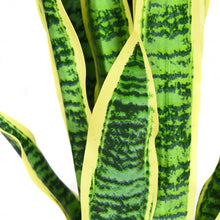 Load image into Gallery viewer, 35.5&quot; Indoor-Outdoor Decoration Fake Artificial Snake Plant
