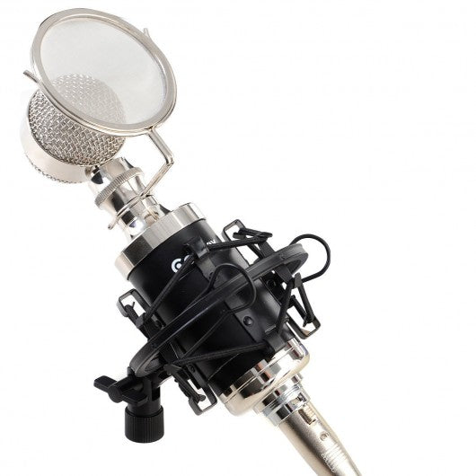Professional Studio Recording Condenser Microphone w/ Shock Mount