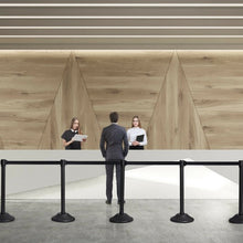 Load image into Gallery viewer, 6 Pcs Stanchion Post Crowd Control Barriers Queue Pole w/Retractable Belt-Black
