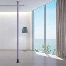 Load image into Gallery viewer, Dance Pole Full Kit Portable Stripper Exercise Fitness Club Party Dancing-purple
