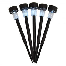 Load image into Gallery viewer, 10 pcs Garden Outdoor LED Solar Lawn Light
