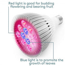 Load image into Gallery viewer, 24W E27 12 LED Grow Hydroponic Plant Garden Light Lamp Bulb
